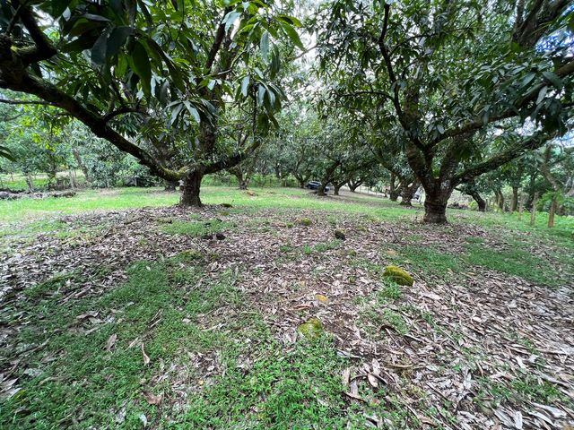 VENTA Gran lote en San Mateo de Alajuela — photo 8 of 19