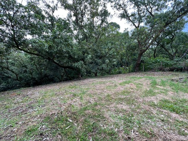 VENTA Gran lote en San Mateo de Alajuela — photo 5 of 19