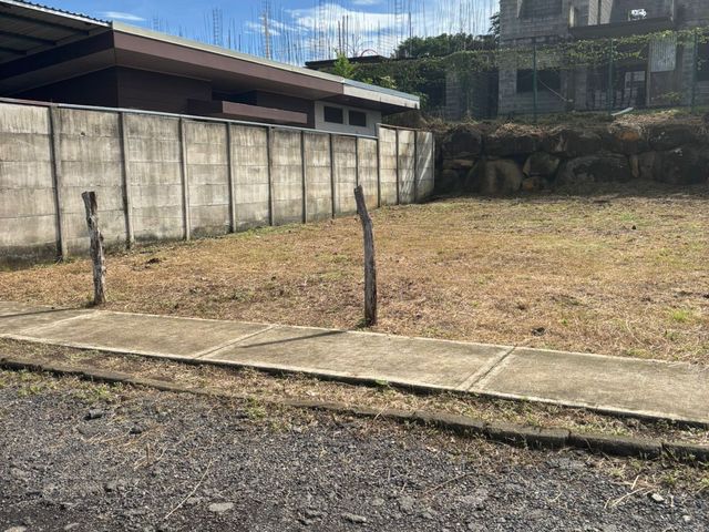 VENTA Lote estratégico por Zona Franca El Coyol — photo 4 of 7