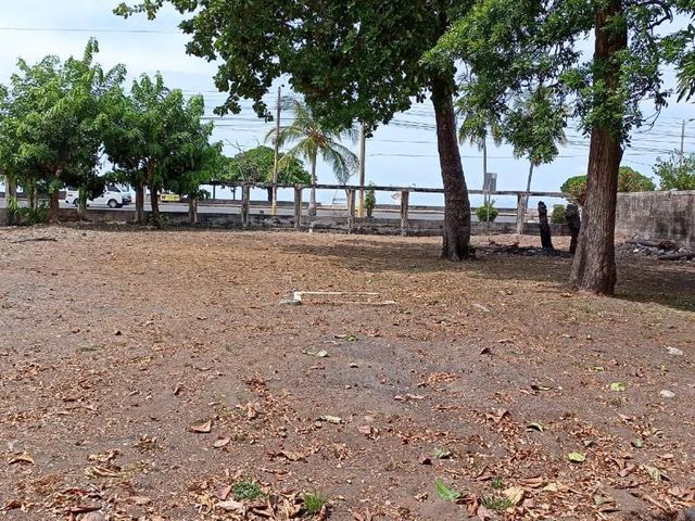 ULTIMO PRECIO Lote frente al mar, Paseo de los Turistas, Puntarenas — photo 1 of 20