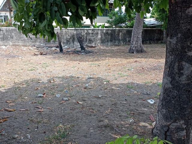 ULTIMO PRECIO Lote frente al mar, Paseo de los Turistas, Puntarenas — photo 20 of 20