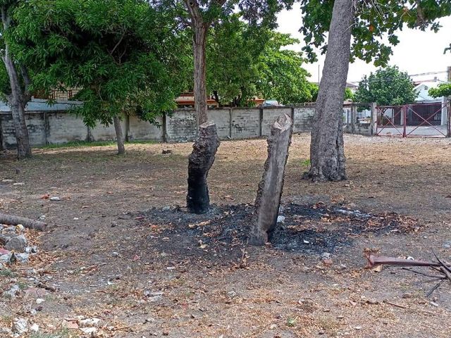 ULTIMO PRECIO Lote frente al mar, Paseo de los Turistas, Puntarenas — photo 19 of 20
