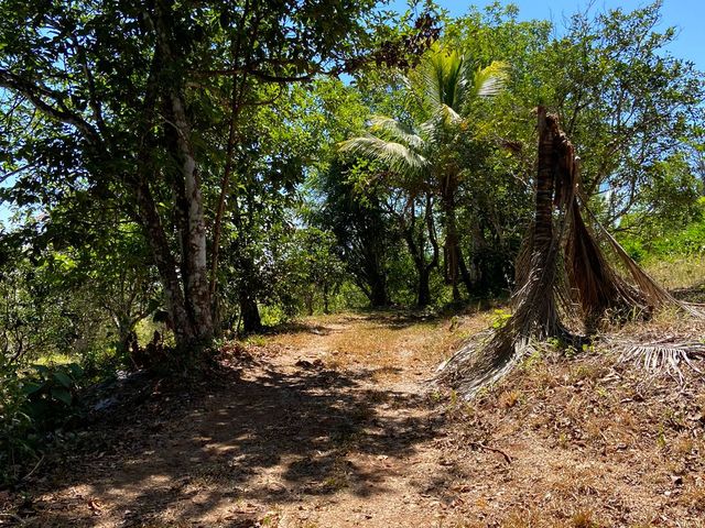 finca — photo 1 of 17