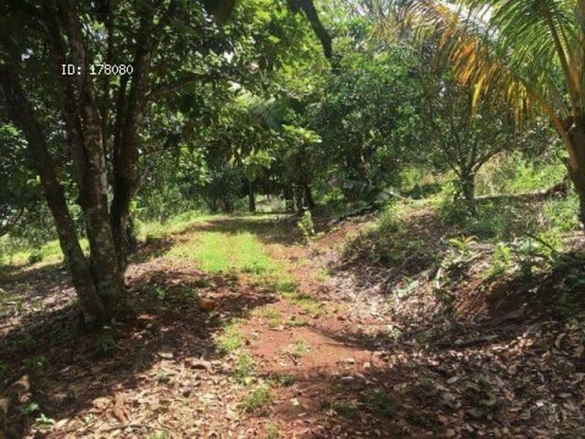 finca — photo 10 of 17