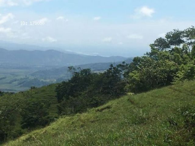 finca — photo 14 of 17