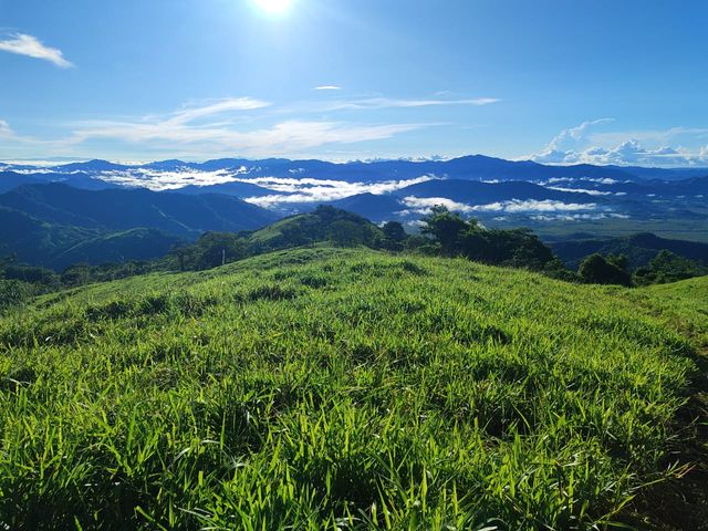 finca — photo 2 of 17
