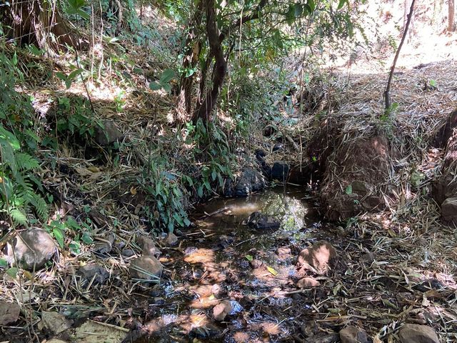 finca — photo 5 of 17