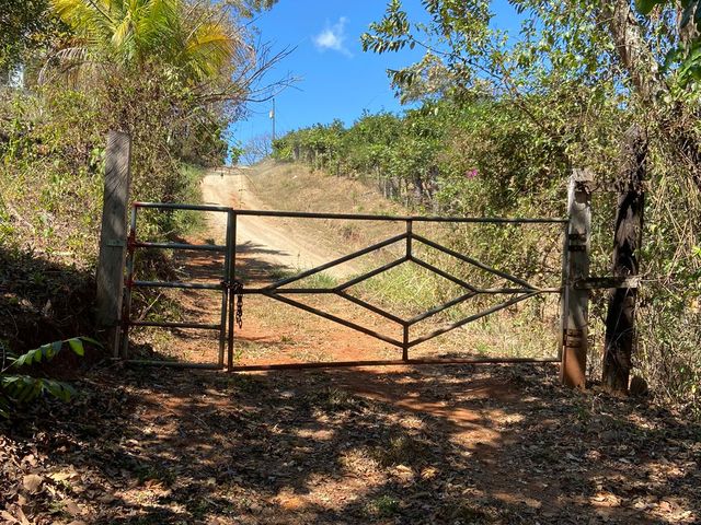 finca — photo 6 of 17