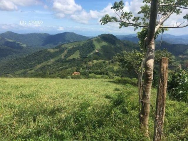 finca — photo 9 of 17