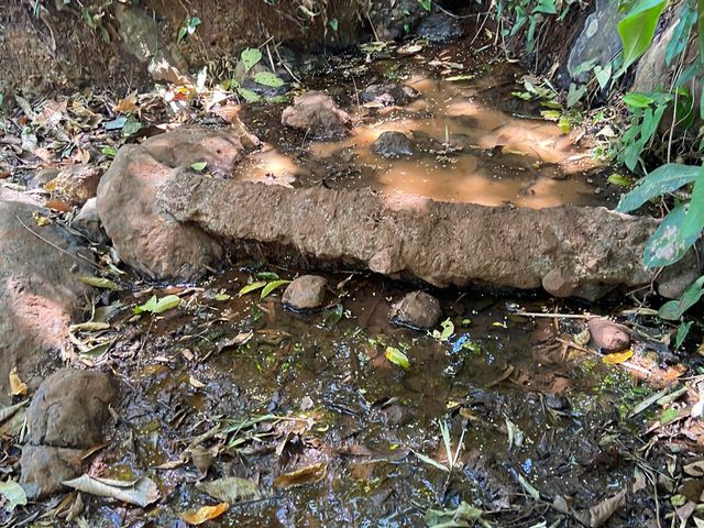 finca — photo 12 of 17