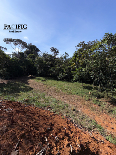 Terreno en San Pedro Pérez Zeledón, Liceo Rural Santiago de San Pedro de Perez Zeledón, San José Province, Pérez Zeledón, Costa Rica — foto 3 de 5