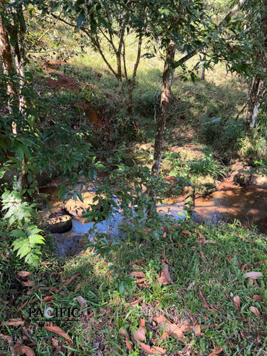 Terreno en San Pedro Pérez Zeledón, Liceo Rural Santiago de San Pedro de Perez Zeledón, San José Province, Pérez Zeledón, Costa Rica — foto 4 de 5