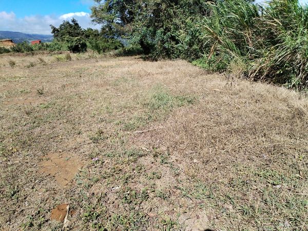 Lote en Piedades Norte, 4FPV+G77, Provincia de Alajuela, San Ramón, Costa Rica — photo 4 of 5
