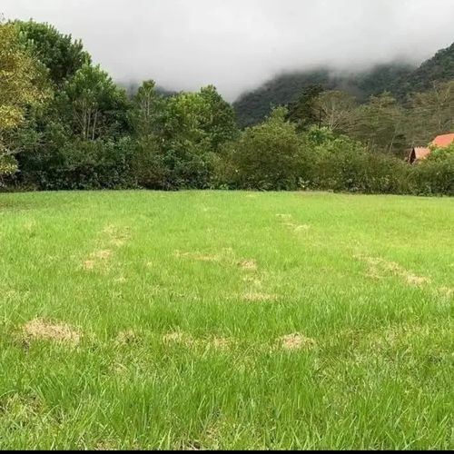 Lote 1381 m2 Bajos del Toro Sarchi, Alajuela Province, Bajos del Toro, Costa Rica — photo 2 of 5