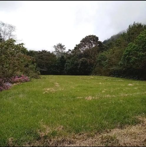Lote 1381 m2 Bajos del Toro Sarchi, Alajuela Province, Bajos del Toro, Costa Rica — photo 3 of 5