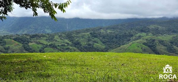 Amazing Land in Barusito between Escaleras and San Salvador de Pérez Zeledón., San José Province, Pérez Zeledón, Costa Rica — foto 4 de 5