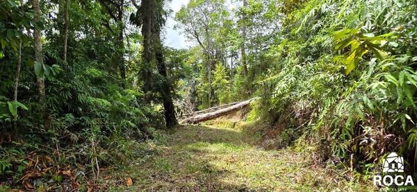Beautiful lot for sale in Barucito between Escaleras and San Salvador Pérez Zeledón.!, San José Province, Pérez Zeledón, Costa Rica — foto 4 de 5