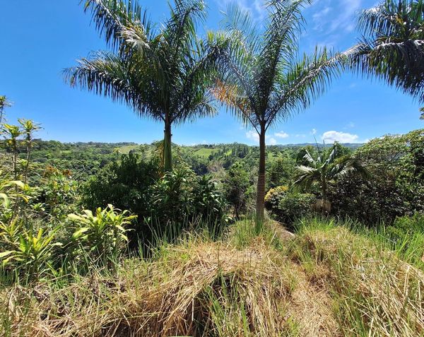 Linda propiedad en san Vito de Coto brus, San Vito, Puntarenas Province, Coto Brus, Costa Rica — photo 5 of 5