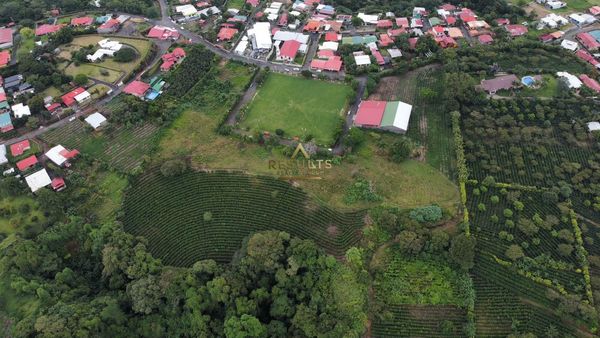 4.8 ha Flat Development Land 5004-2344, San Isidro (bajo) — photo 5 of 5