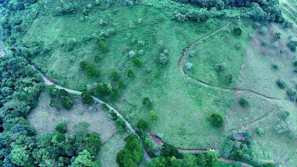 Finca Multiuso, Calle San Juan, Alajuela Province, Aguas Zarcas, Costa Rica — photo 2 of 5