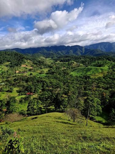Finca Multiuso, Calle San Juan, Alajuela Province, Aguas Zarcas, Costa Rica — photo 5 of 5