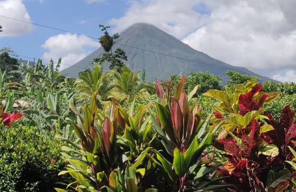 La Mejor Inversión en Costa Rica: Airbnb Business con Arenal Volcano View, Alajuela Province, La Fortuna, Costa Rica — photo 1 of 5