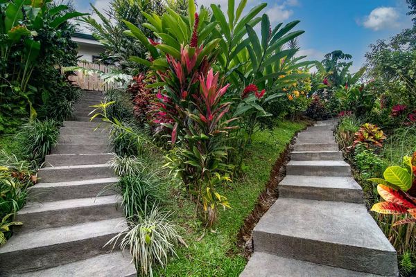 La Mejor Inversión en Costa Rica: Airbnb Business con Arenal Volcano View, Alajuela Province, La Fortuna, Costa Rica — photo 4 of 5