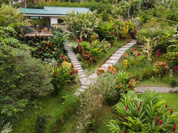 La Mejor Inversión en Costa Rica: Airbnb Business con Arenal Volcano View, Alajuela Province, La Fortuna, Costa Rica — photo 5 of 5