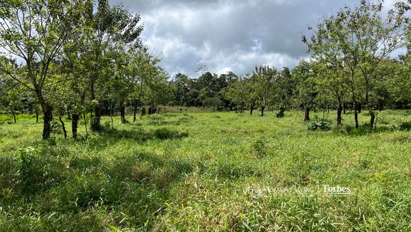 21389 - Property for Sale for Hospitality Development in La Fortuna, La Fortuna, Alajuela Province, San Carlos, Costa Rica — photo 5 of 5