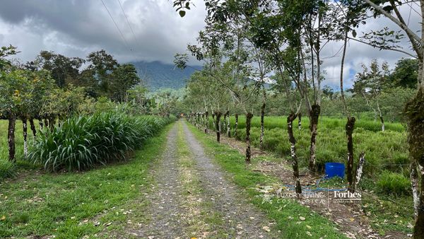 21389 - Property for Sale for Hospitality Development in La Fortuna, La Fortuna, Alajuela Province, San Carlos, Costa Rica — photo 3 of 5