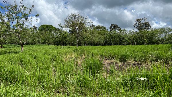 21389 - Property for Sale for Hospitality Development in La Fortuna, La Fortuna, Alajuela Province, San Carlos, Costa Rica — photo 4 of 5