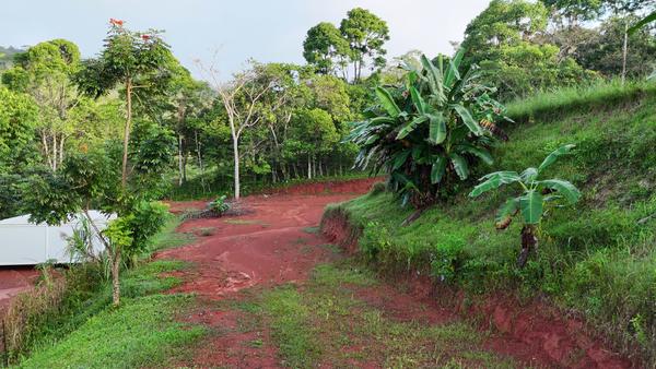 3,600sqm Mountain View Lot – High Appreciation & Ready to Build, Tarcolitos Properties, Puntarenas Province, Tarcolitos, Costa Rica — foto 5 de 5