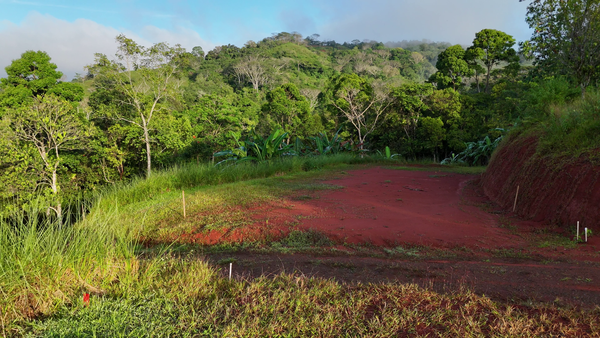 1,500 sqm Mountain View Lot – High Appreciation & Ready to Build, Tarcolitos Properties, Puntarenas Province, Tarcolitos, Costa Rica — foto 5 de 5