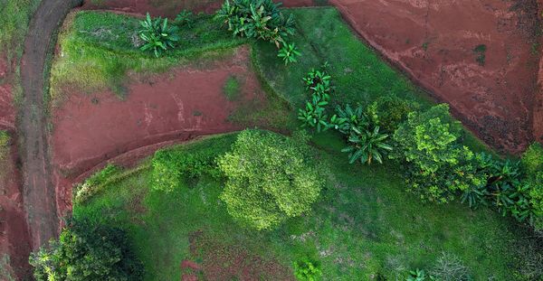 1,500 sqm Mountain View Lot – High Appreciation & Ready to Build, Tarcolitos Properties, Puntarenas Province, Tarcolitos, Costa Rica — foto 3 de 5