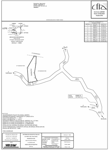 1,500 sqm Mountain View Lot – High Appreciation & Ready to Build, Tarcolitos Properties, Puntarenas Province, Tarcolitos, Costa Rica — foto 2 de 5