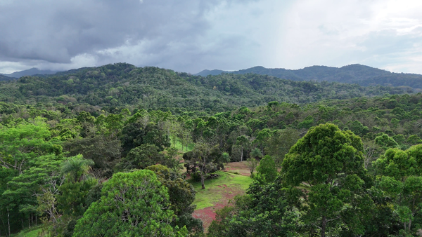 4,000sqm Mountain View Lot – High Appreciation & Ready to Build, Tarcolitos Properties, Puntarenas Province, Tarcolitos, Costa Rica — foto 5 de 5