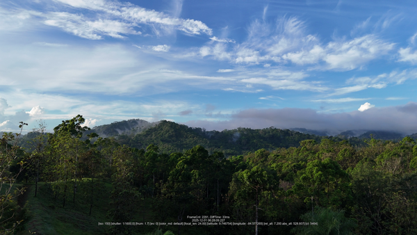 4,000sqm Mountain View Lot – High Appreciation & Ready to Build, Tarcolitos Properties, Puntarenas Province, Tarcolitos, Costa Rica — foto 4 de 5