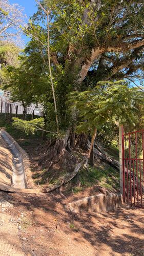 Hermosa Propiedad con Cabaña, San José, Costa Rica — foto 5 de 5