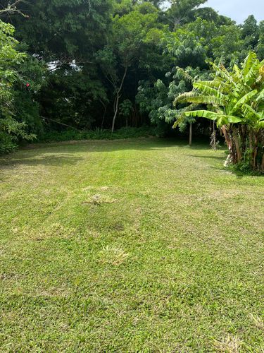 VENTA LOTE EN TIBAS, Llorente Tibás, San José Province, San Juan, Apolo, Costa Rica — foto 1 de 5