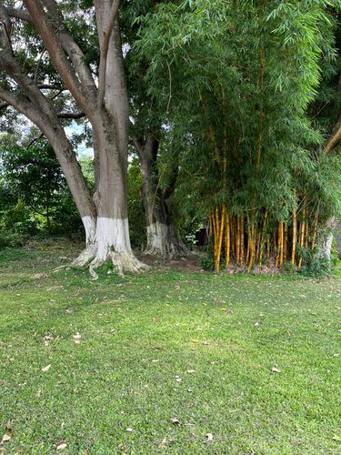 VENTA LOTE EN TIBAS, Llorente Tibás, San José Province, San Juan, Apolo, Costa Rica — foto 5 de 5