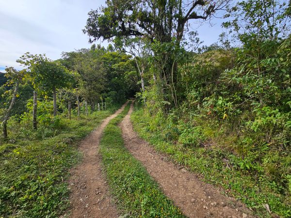 Finca Colpachi, Provincia de Cartago, Corralillo, Costa Rica — photo 5 of 5