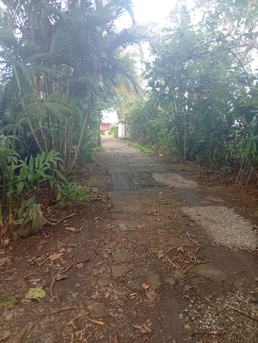 CASA MARIELOS, Limón Province, Puerto Viejo de Talamanca, Costa Rica — photo 5 of 5