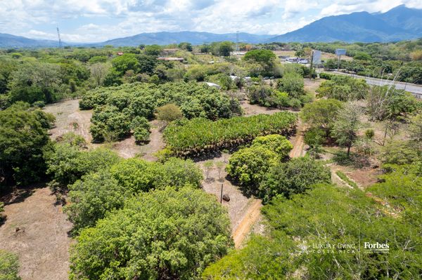 21415 - Land for Development, Coyolar, Orotina with Access to Route 27, Coyolar, Alajuela Province, Orotina, Costa Rica — photo 4 of 5