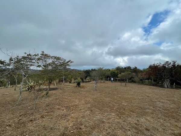 LOTE GRANDE SAN RAMON, Piedades Sur, Alajuela Province, San Ramón, Costa Rica — photo 3 of 5
