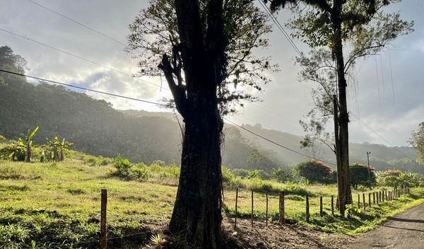 PURISÍL Estate, Orosi, Finca Purisil, Cartago Province, Orosi, Costa Rica — photo 1 of 5