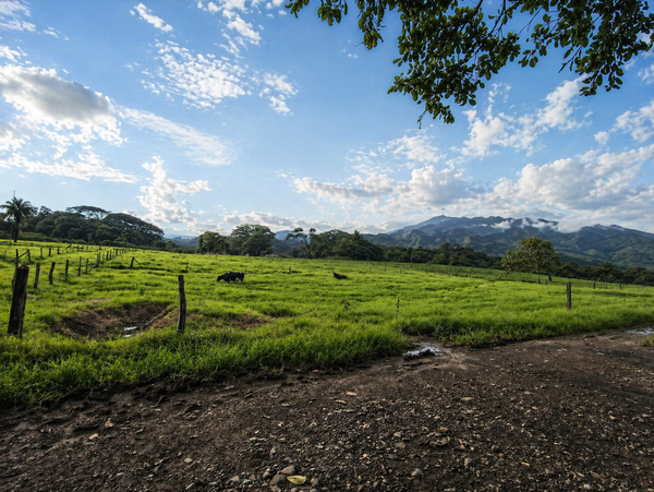 FINCA LECHERA GUAYABO DE BAGACES, Guanacaste Province, Guayabo, Costa Rica — photo 3 of 5