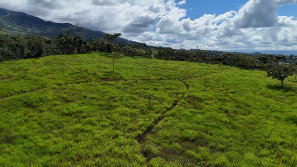 Luxury Lot for Sale in Santa Elena, Nature, Privacy, and Excellent Location, Santa Elena, General Viejo. — foto 2 de 4