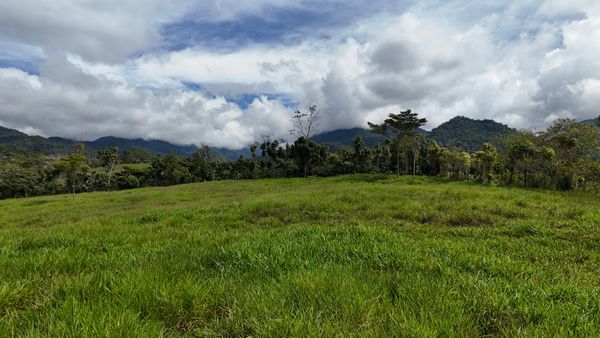 Luxury Lot for Sale in Santa Elena, Nature, Privacy, and Excellent Location, Santa Elena, General Viejo. — foto 4 de 4