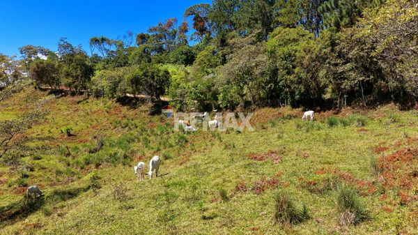 71-Acre Investment Property in Costa Rica with Mountain Views and Water Rights, 2km al Norte de la Iglesia Catolica de Morazan — foto 4 de 4