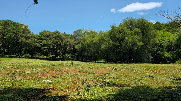 Propiedad Paraíso, 27 de Abril cerca de playas (Puede comprar los m2 que desee), Provincia de Guanacaste, Costa Rica — photo 1 of 5